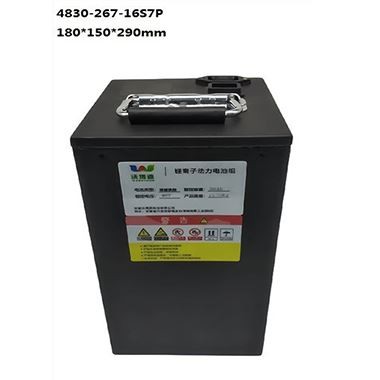 Batterie LiFePo4 pour voiturette de golf 48V 30Ah